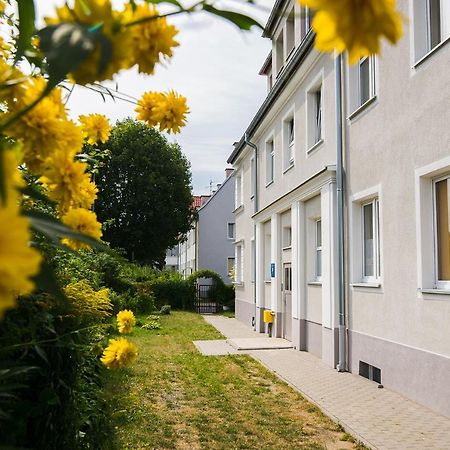 Apartament Na Wspolnej Эльблонг Экстерьер фото
